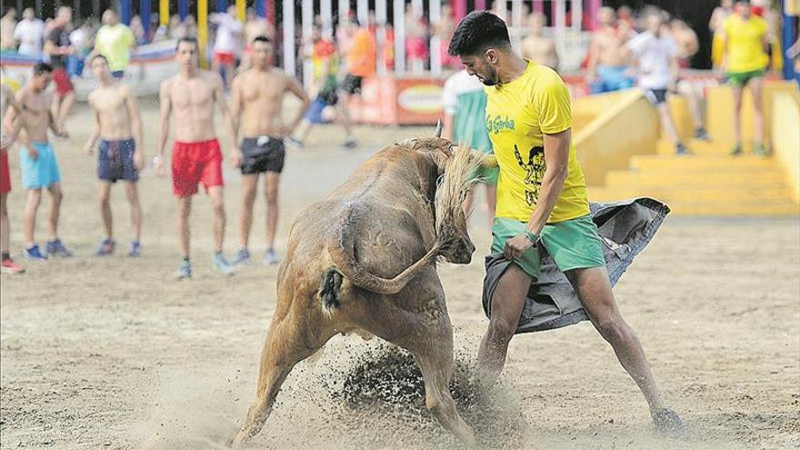 El XXXIV Concurso de Ganaderías llega a su ecuador con buenas impresiones