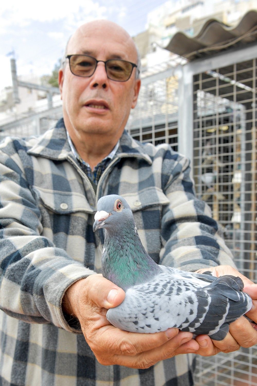 Isidro Suárez, ganador de un premio nacional de colombofilia