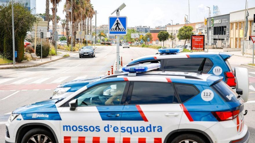 Speed, el perro que resuelve las causas de los incendios con los Mossos d'Escuadra