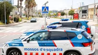 Speed, el perro que resuelve las causas de los incendios con los Mossos d'Escuadra