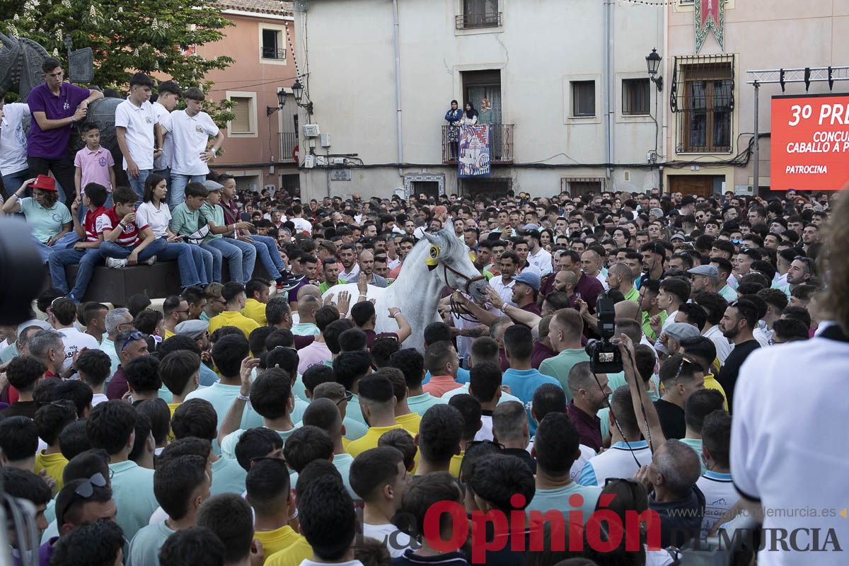 Fiestas de Caravaca | Entrega de premios del concurso morfológico