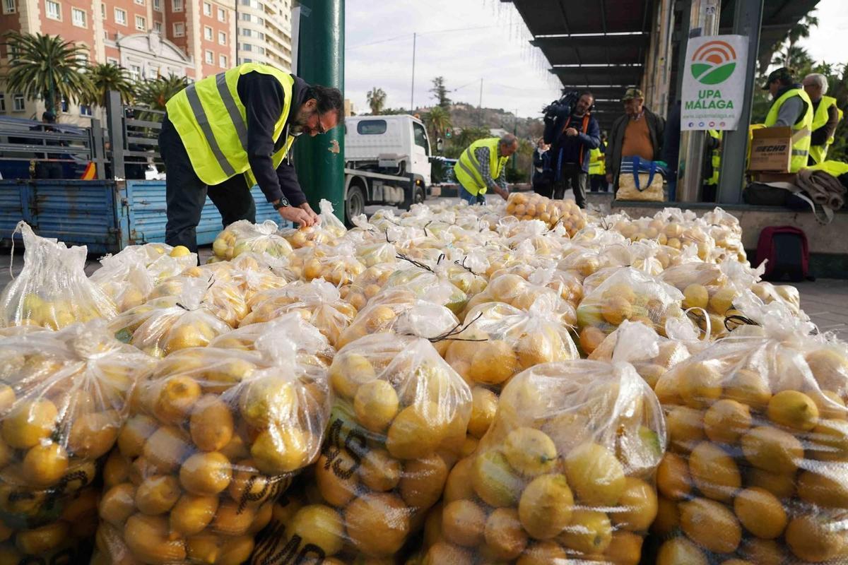 Los agricultores de Málaga regalan 3.000 kilos de limones.