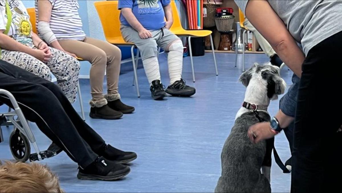 El pionero programa terapéutico con perros para personas con trastorno mental grave del Hospital Doctor Rodríguez Lafora.