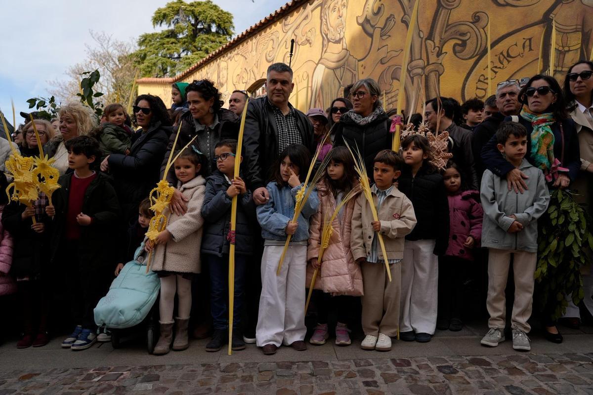 La Procesión de La Borriquita en Zamora, en imágenes La Procesión de La Borriquita en Zamora, en imágenes