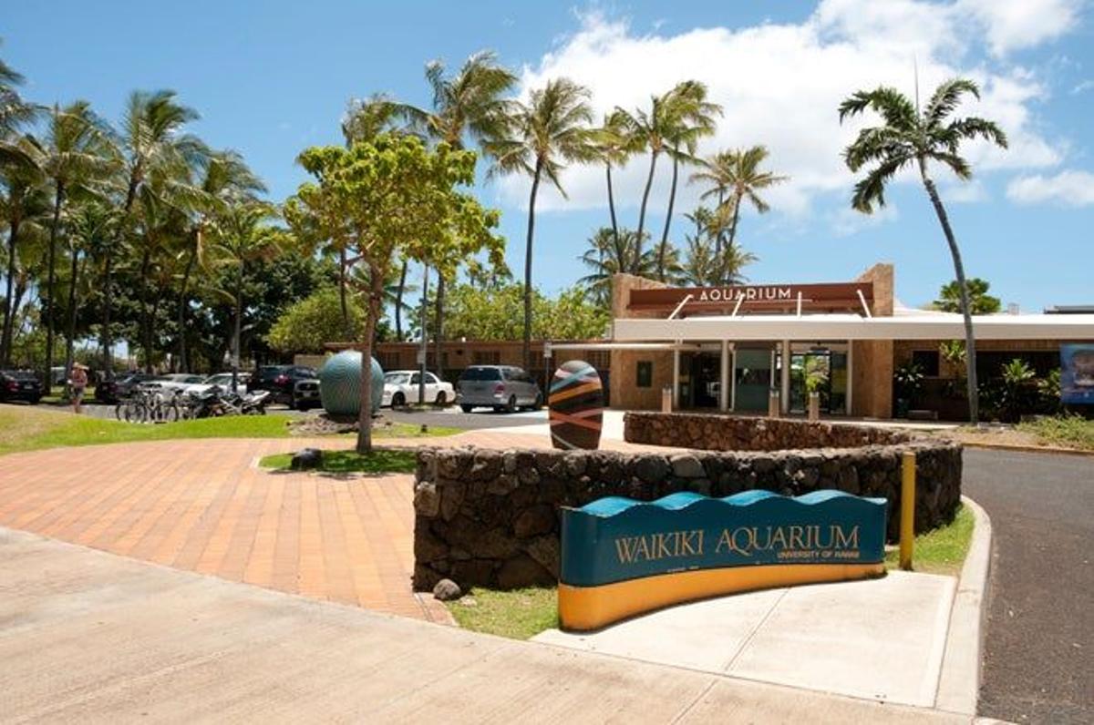 Acuario de Waikiki