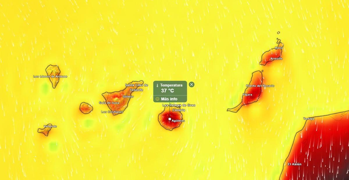 El calor afectará en mayor medida a Gran Canaria, Fuerteventura y Lanzarote