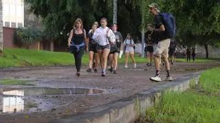 Octubre Verde: un paseo por las redes vecinales, parques y música en Ciudad Alta