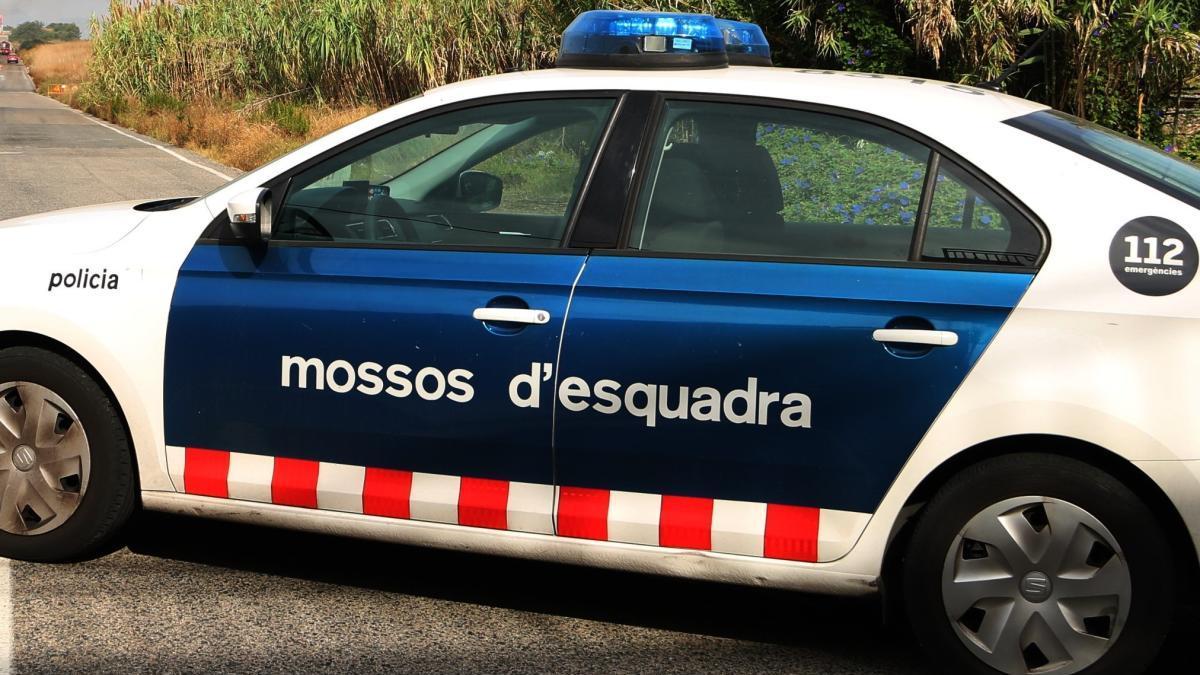 Els Mossos d&#039;Esquadra han detingut dos lladres.