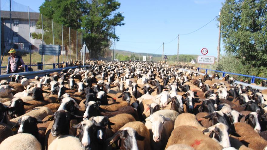 La Junta mejora los procesos de concentración parcelaria en vías pecuarias