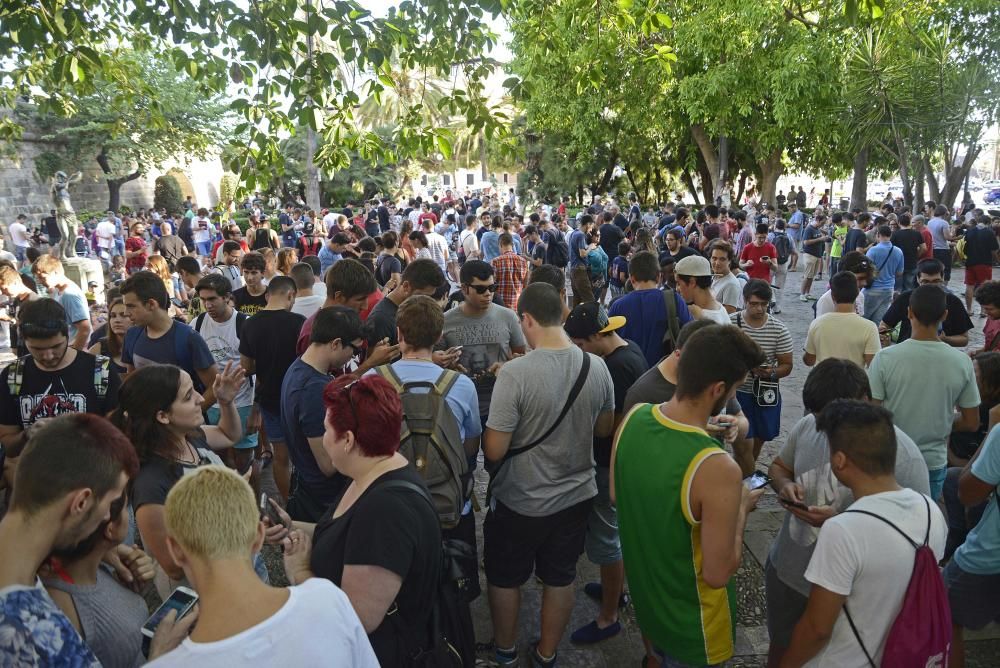 Palma se suma a la caza de pokémons