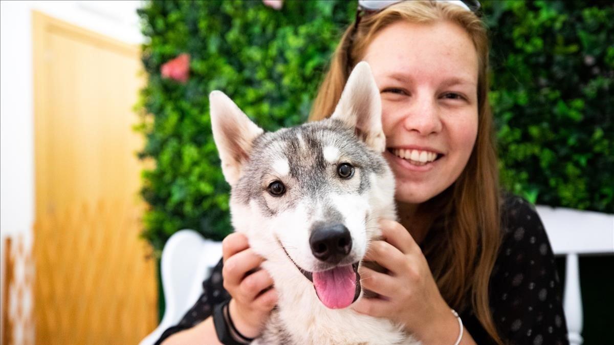 zentauroepp49270066 barcelona 30 07 2019 husky house un local para jugar con p190806195323 zentauroepp49270066 barcelona 30 07 2019 husky house un local para jugar con p190806195323