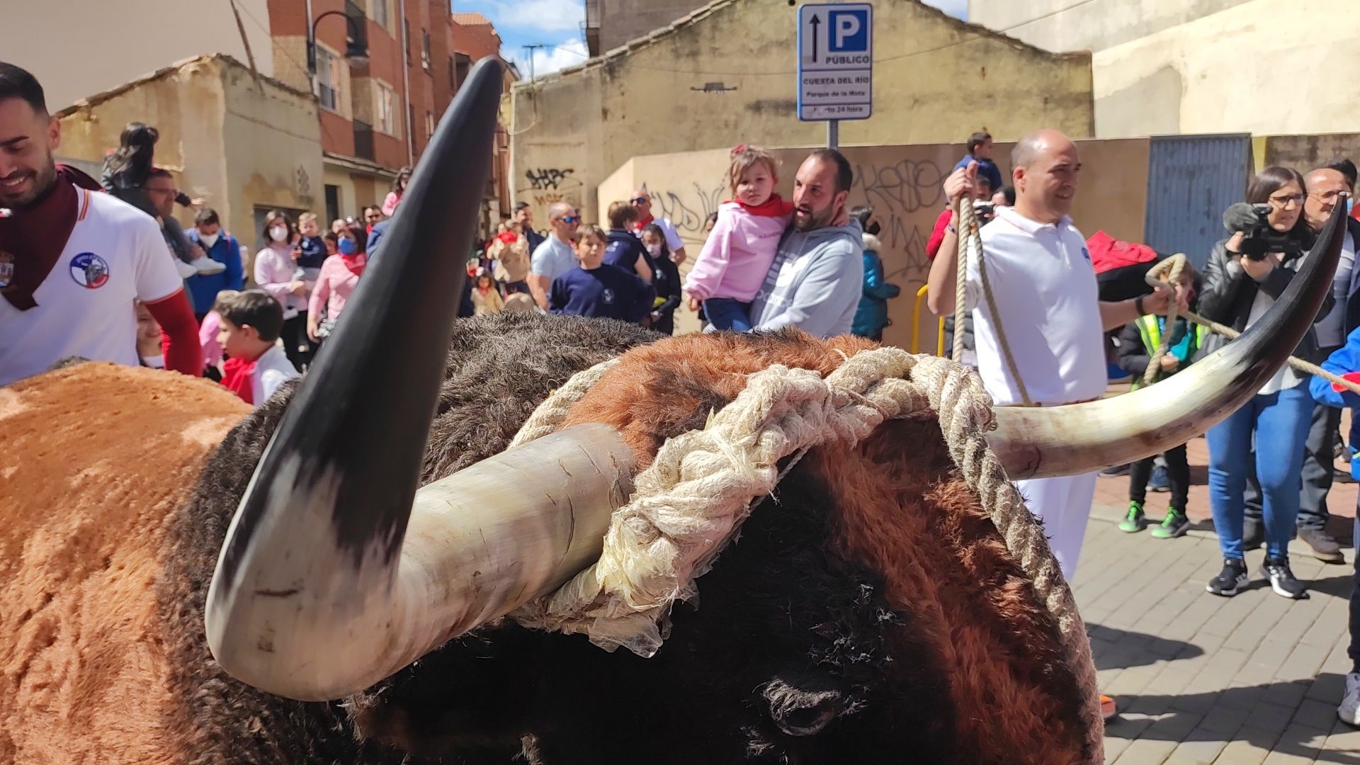 Imperioso, el carretón gigante de la Escuelas Taurinas de Benavente