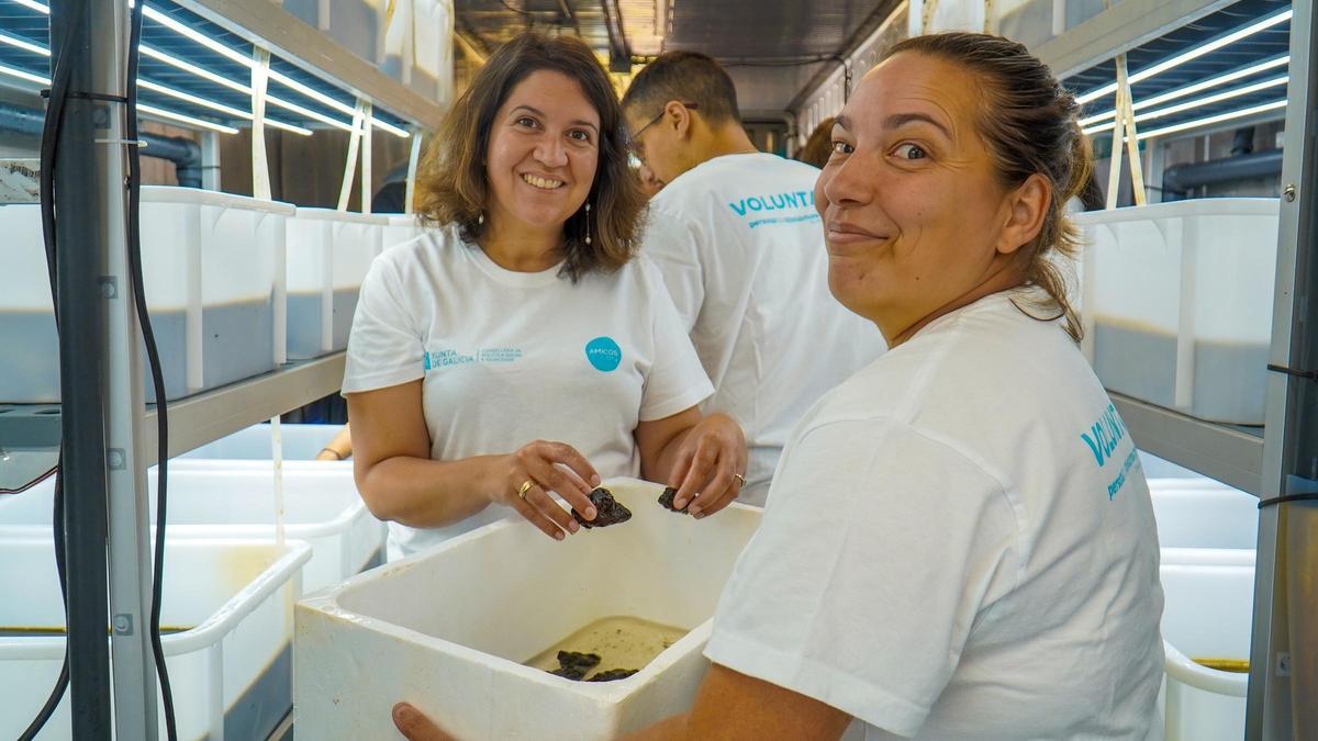 Begoña Abeijón, esquerda, no laboratorio de macroalgas de Amicos.