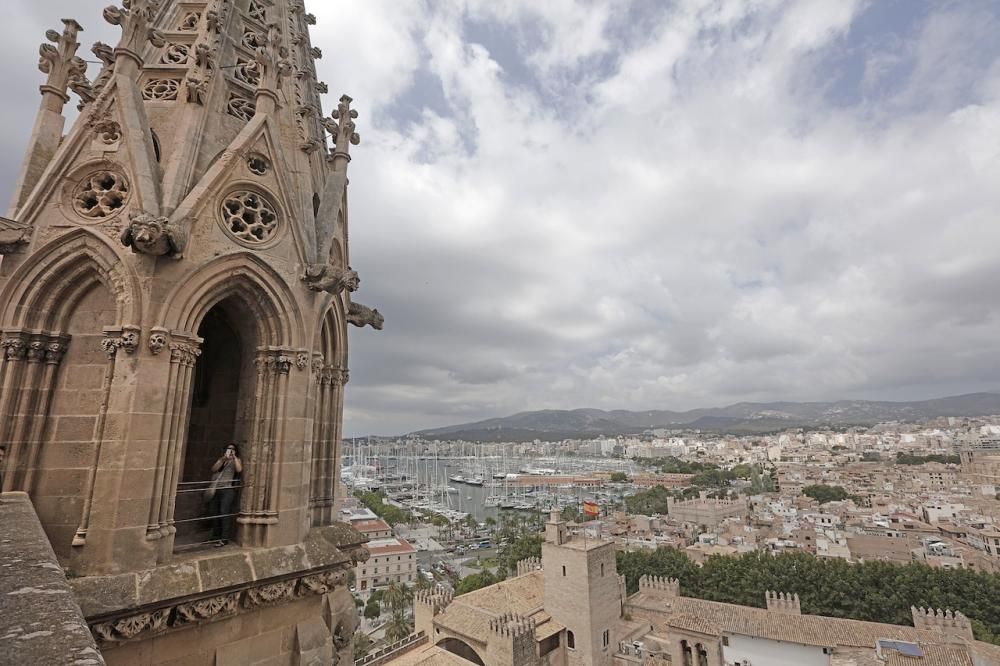 Visita guiada a las terrazas de la Seu