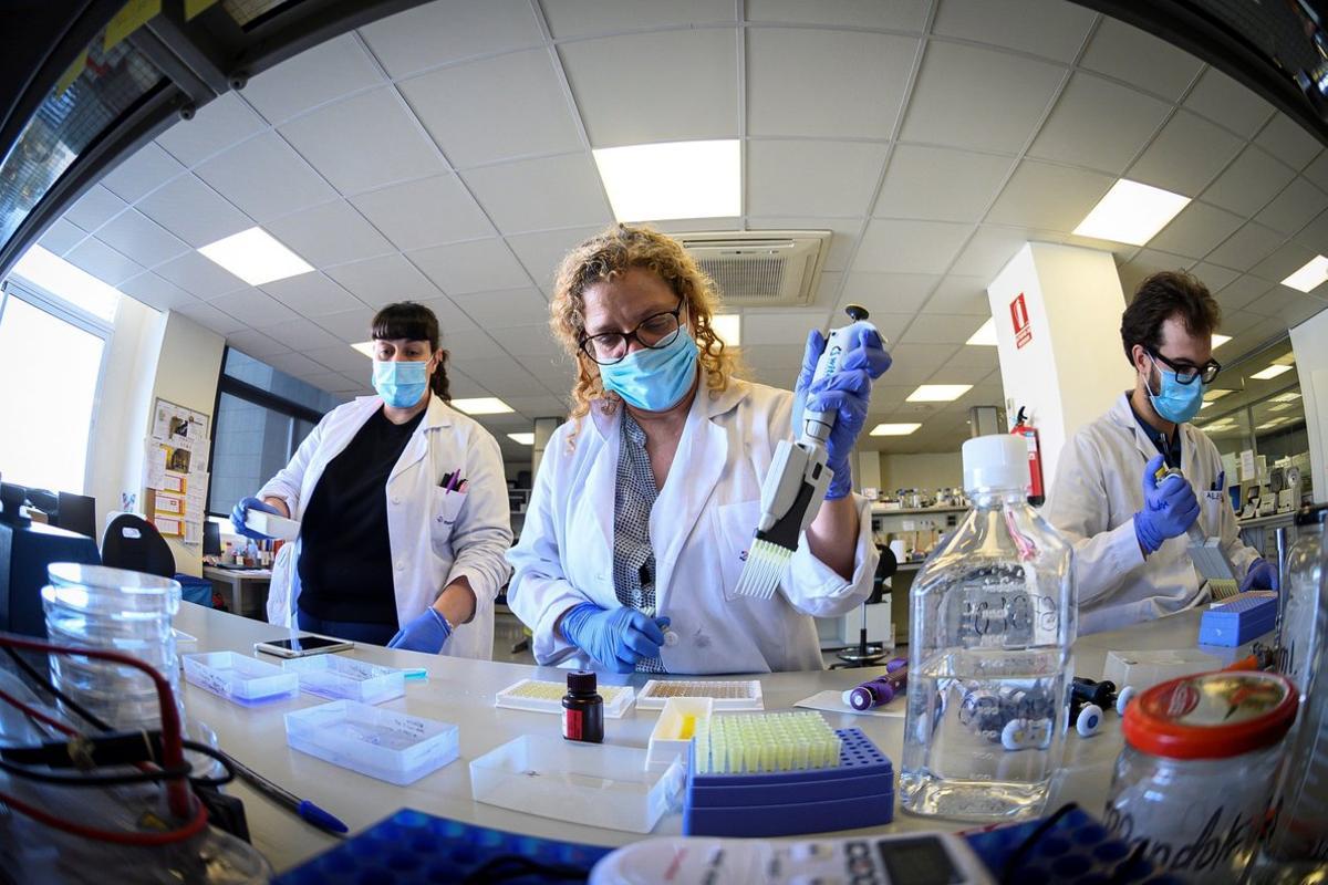 -FOTODELDIA- GRAF4290. MADRID, 12/05/2020.- Laboratorio de la empresa de biotecnología Eurofins Ingenasa en Madrid, este martes, donde desarrollan y producen test para la detección del Covid 19. EFE/Fernando Villar