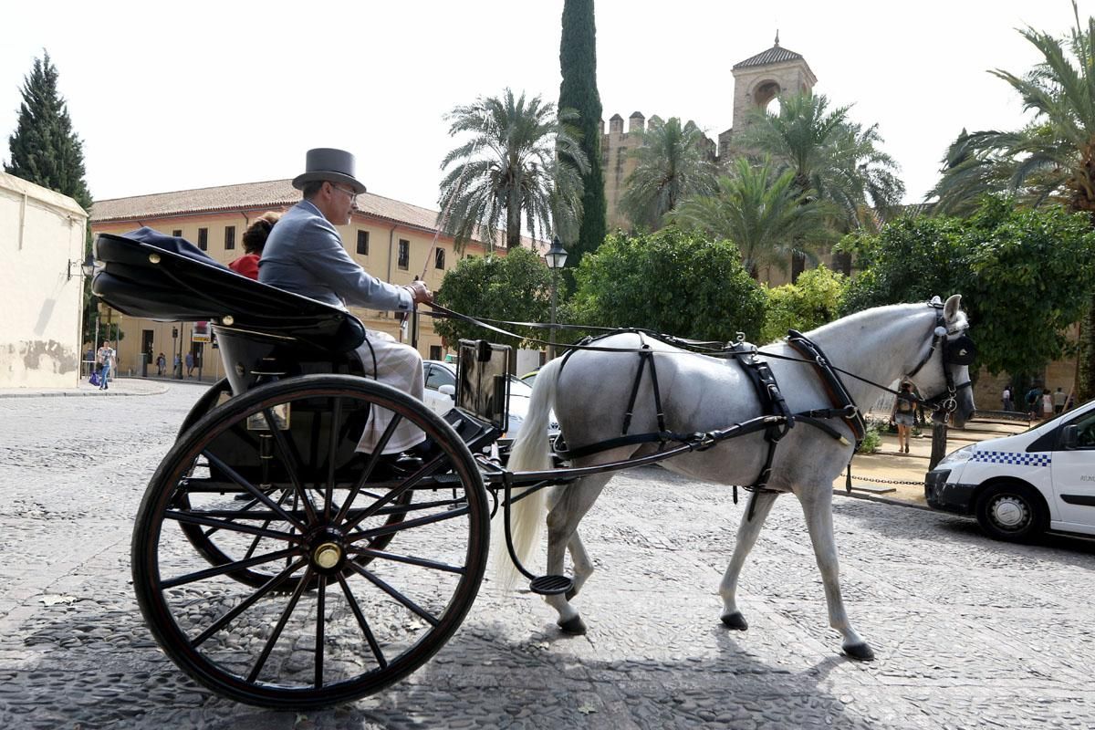 4º Concurso Internacional de Atalaje de Tradición en Cabalcor 2018