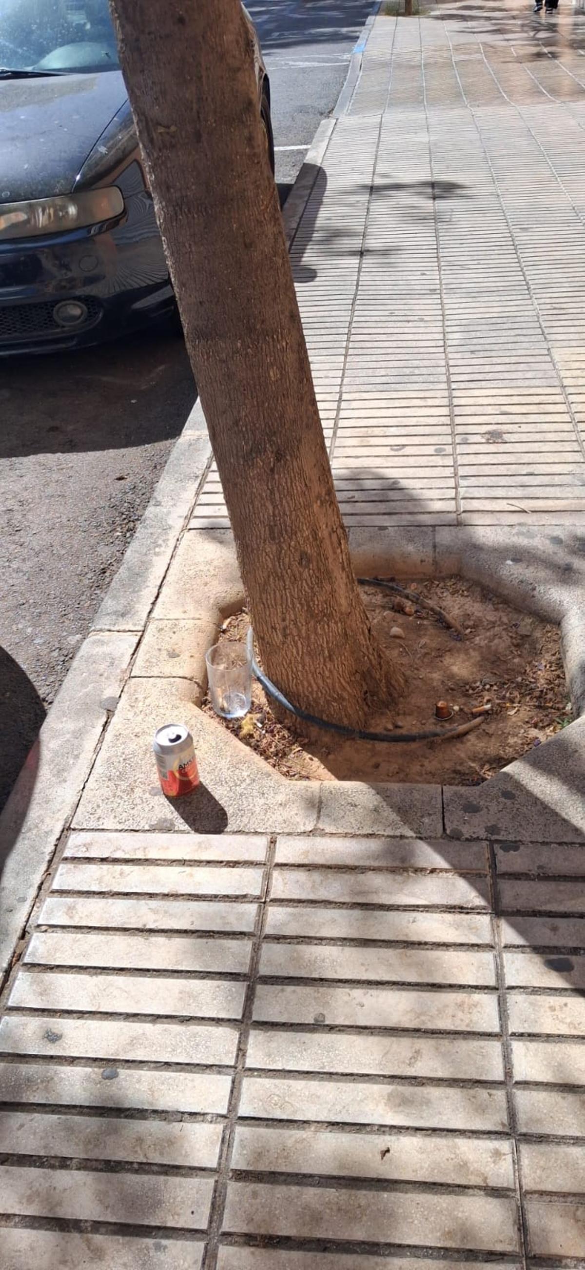 Suciedad y envases de cristal rotos en varias calles de San Vicente del Raspeig