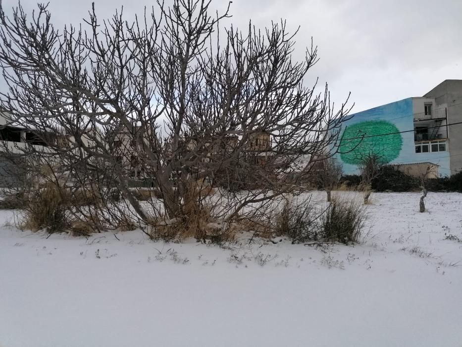 La nieve llega a Aras de los Olmos