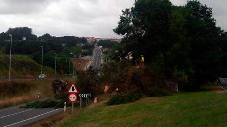 Árbol caído sobre la carretera. // Xan Salgueiro