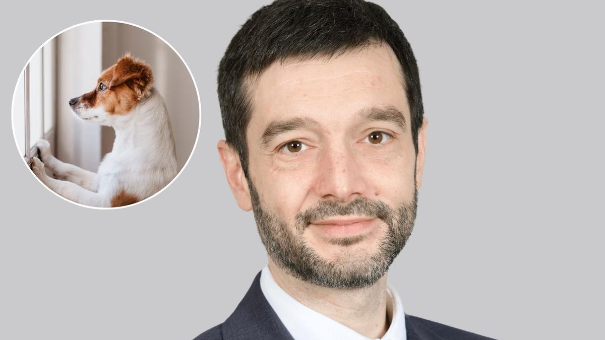 Pablo Bustinduy Amador es el actual Ministro de Derechos Sociales, Consumo y Agenda 2030 en España durante la XV Legislatura, responsable de políticas de bienestar social, dependencia, protección al menor, familia y la implementación de la Agenda 2030