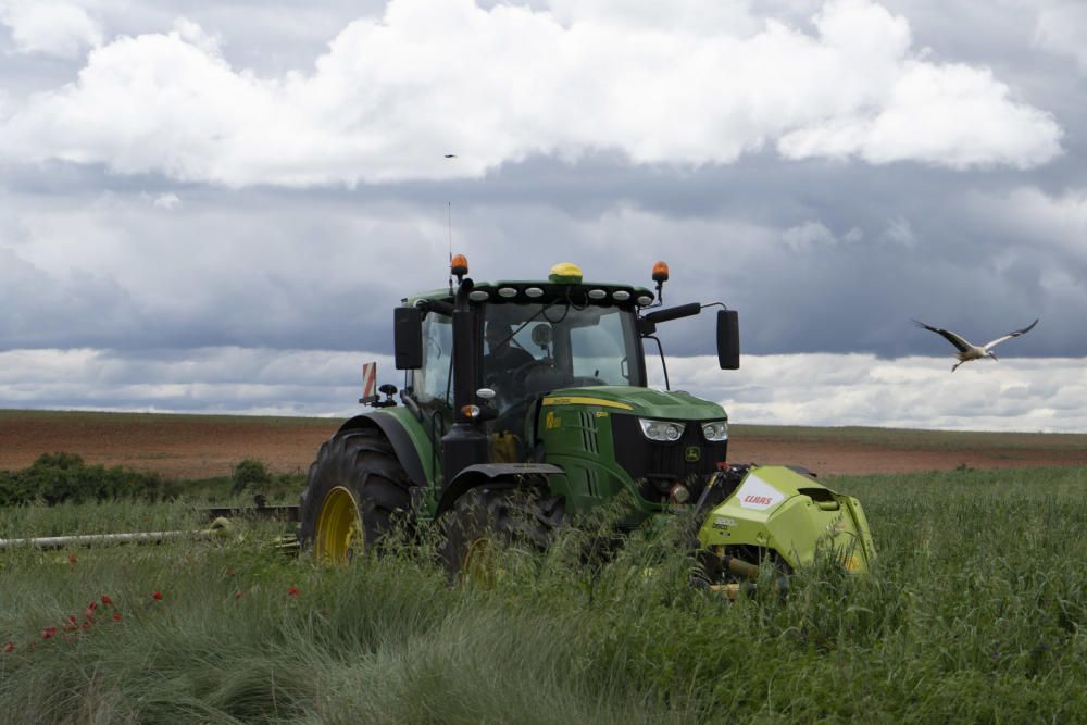 Los labradores y ganaderos piden precios justos.