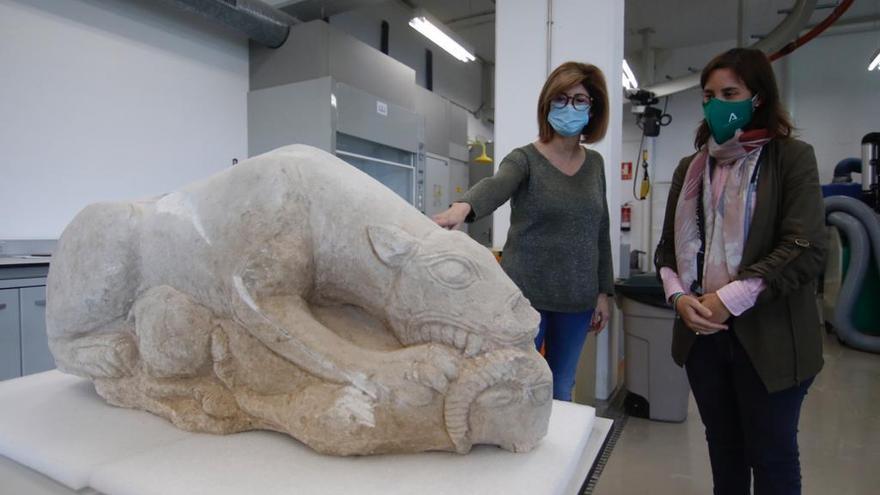 La leona íbera de La Rambla, a estudio en el Arqueológico de Córdoba