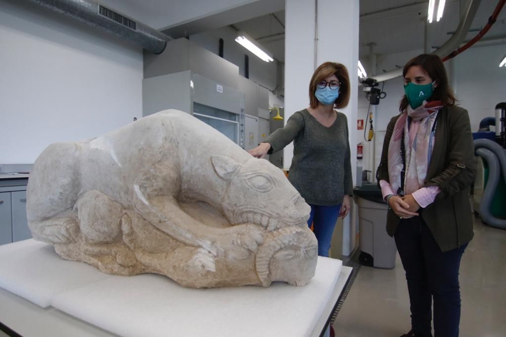 La leona íbera de La Rambla, a estudio en el Arqueológico de Córdoba