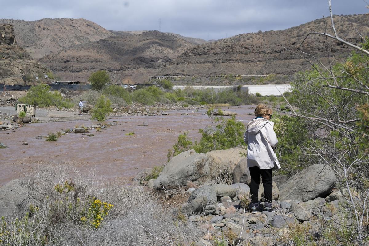 El impacto de la borrasca Therese en Mogán (Gran Canaria, 20/03/2026)