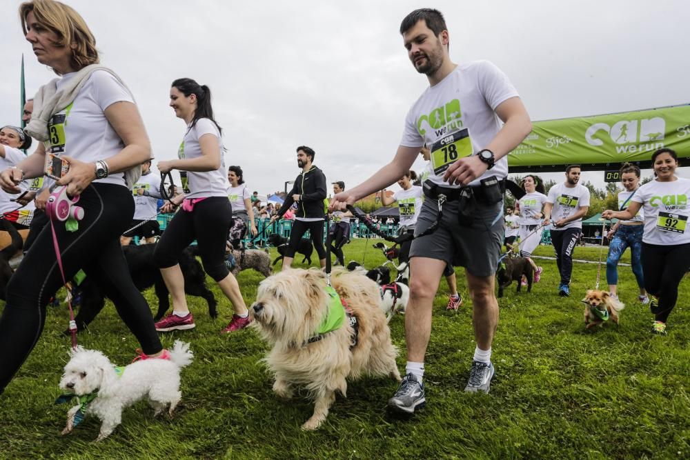 "Can We Run": Deporte, perros y solidaridad toman Gijón