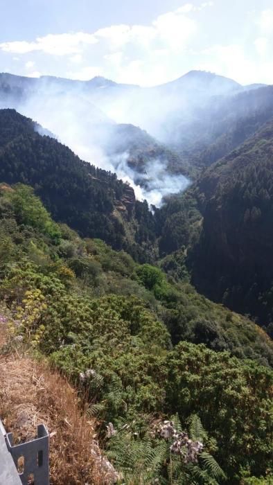 Incendio en Valleseco, en Gran Canaria