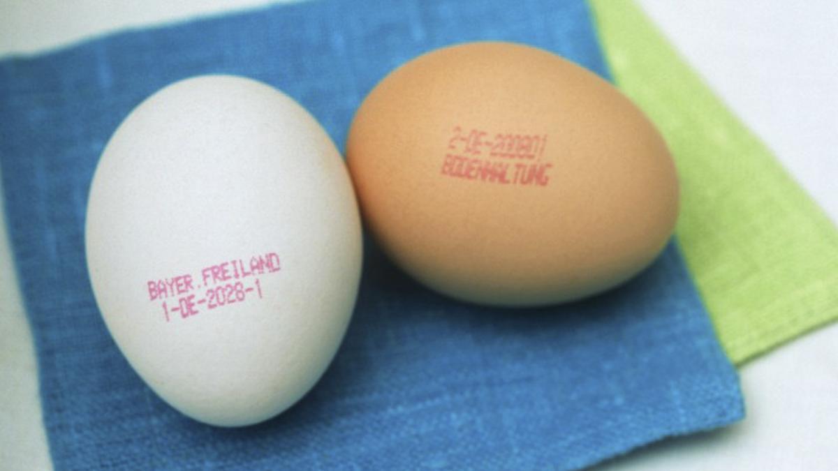 El código de barras de los huevos indica su calidad