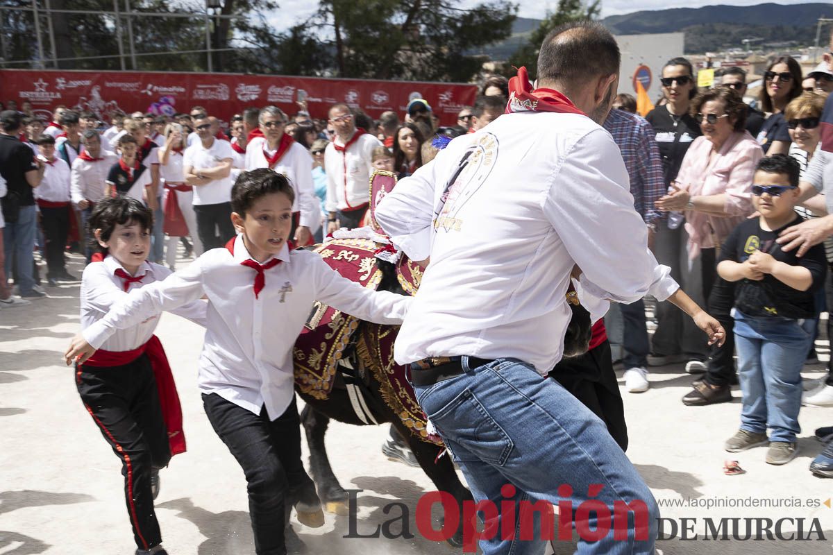 Fiestas de Caravaca | Desfile infantil del Bando de los Caballos del Vino