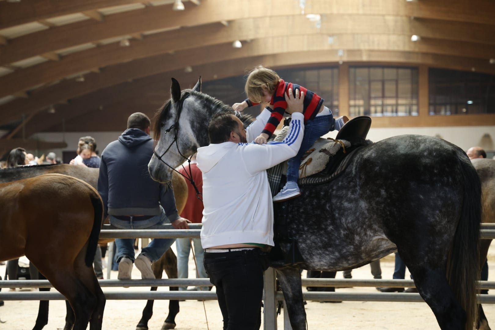 Éxito de la Feira Cabalar de la Ascensión en Amio