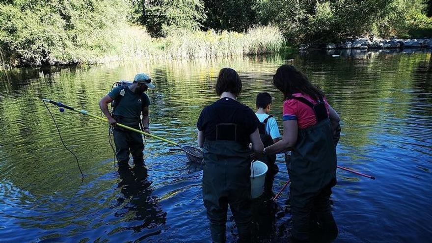 La Seu organitza una jornada per descobrir els ocells, peixos i plantes que habiten el riu Valira