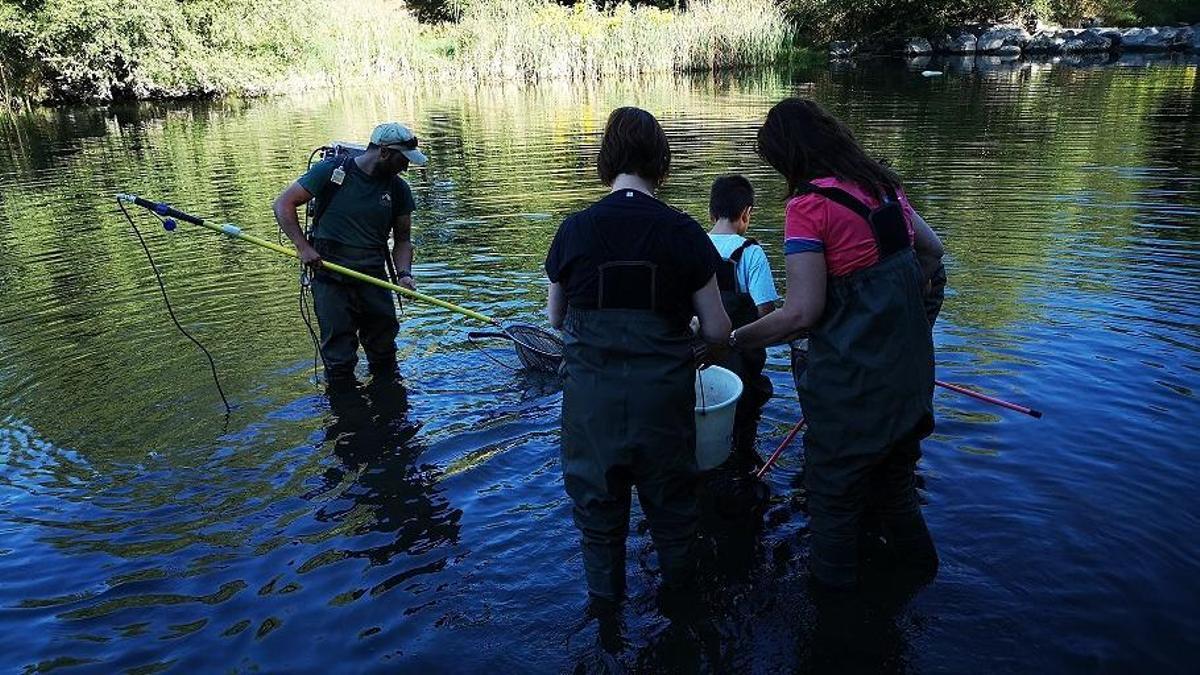 Participants en una edició anterior de la jornada Bioblitz, en aquest cas al riu Segre
