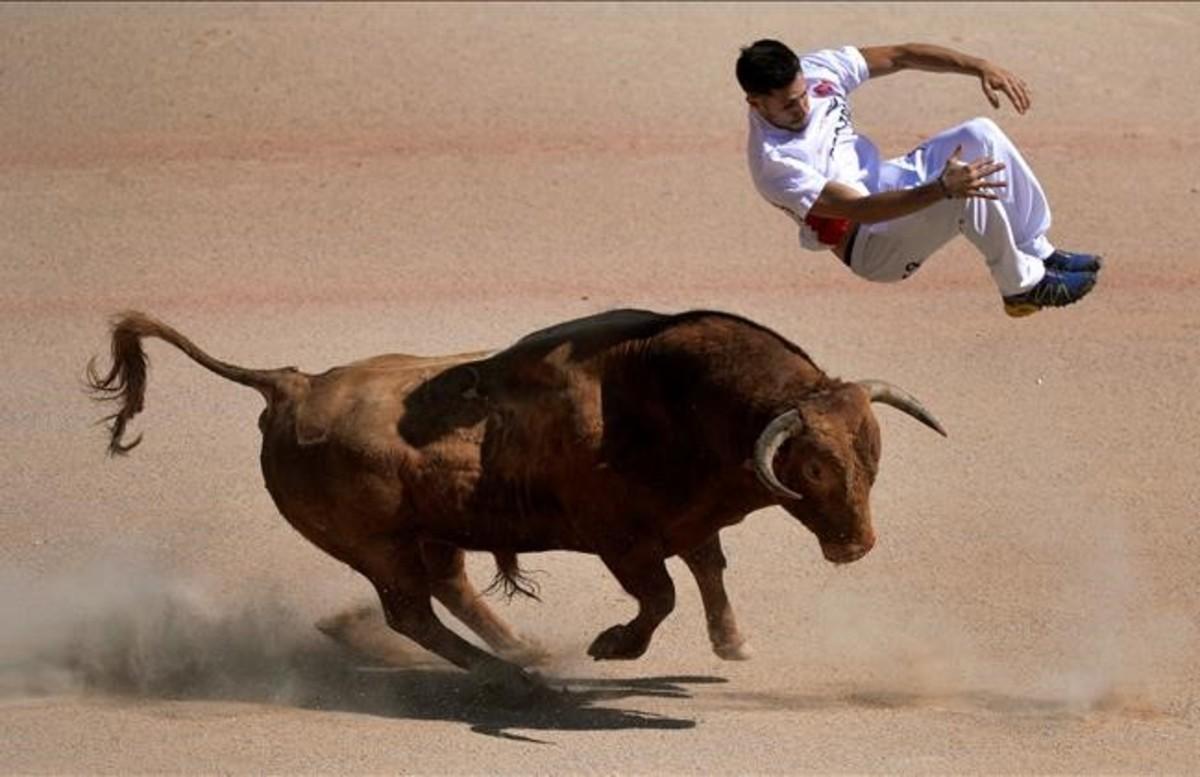 Un recortador salta un toro durante las fiestas de San Fermín en Pamplona