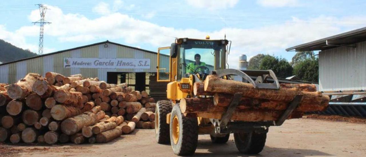 Un trabajador moviendo madera, ayer, en la planta de Cadavedo.