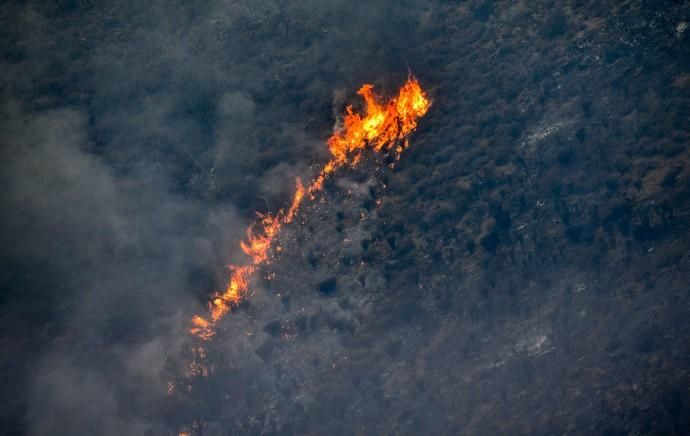 TEJEDA. Incendio en La Cumbre cercanía de Tejeda.  | 11/08/2019 | Fotógrafo: José Pérez Curbelo