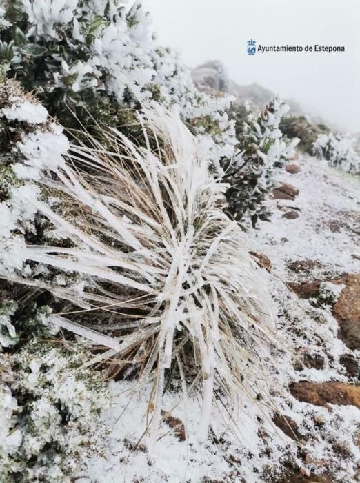 Nieve en Sierra Bermeja