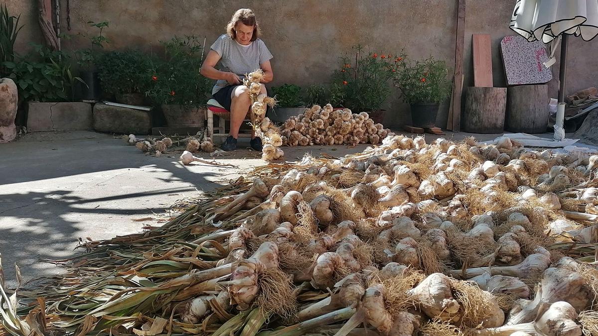 Pilar Rodríguez trenza ajos en Cuelgamures. | |  I. G.