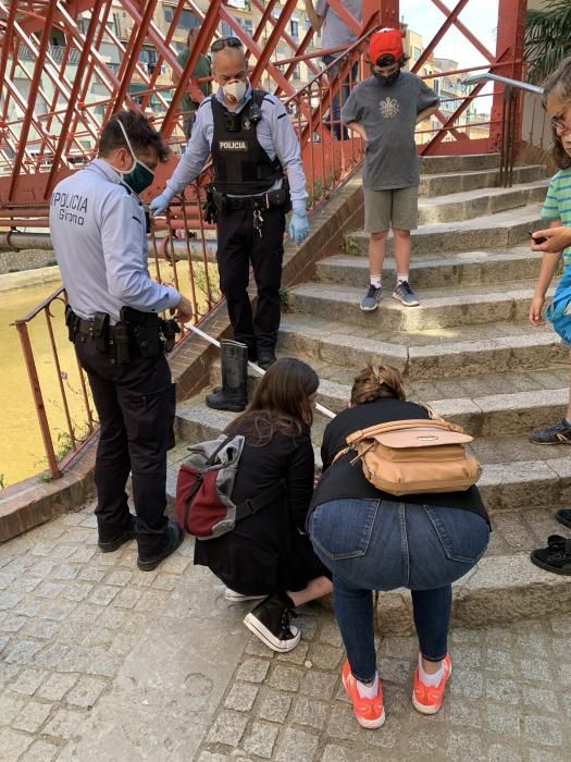 Detecten una cara al fons de l'Onyar i resulta ser una escultura