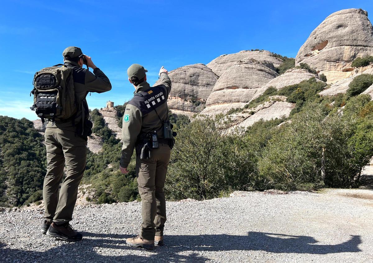 Una parella d'Agents Rurals fan un albirament en un camí de Montserrat durant una de les rondes de reforç de la vigilància d'aquest espai natural amb protecció especial