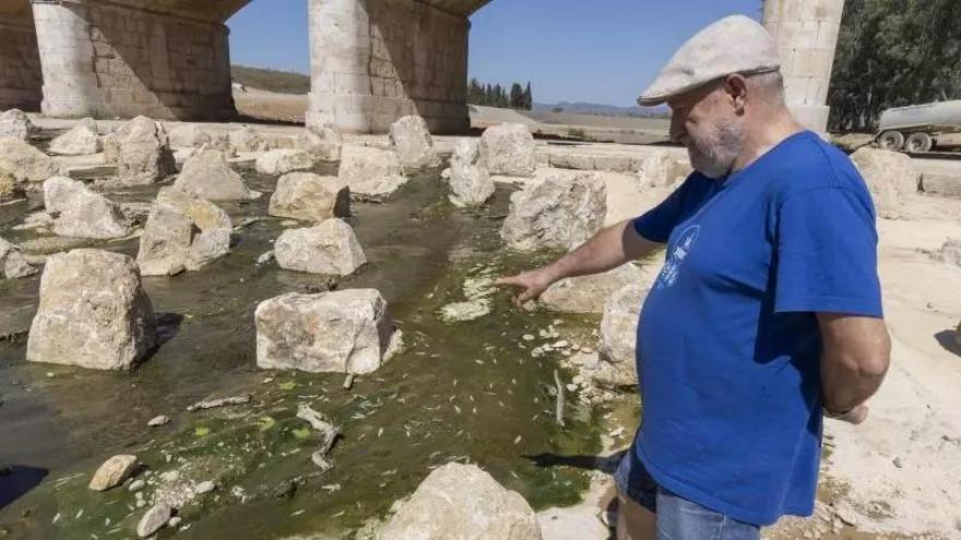La Fiscalía investiga la desecación del Magro entre Carlet y Algemesí tras la denuncia de Xúquer Viu