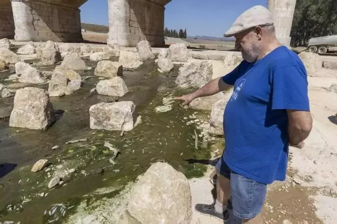 La Fiscalía investiga la desecación del Magro entre Carlet y Algemesí tras la denuncia de Xúquer Viu