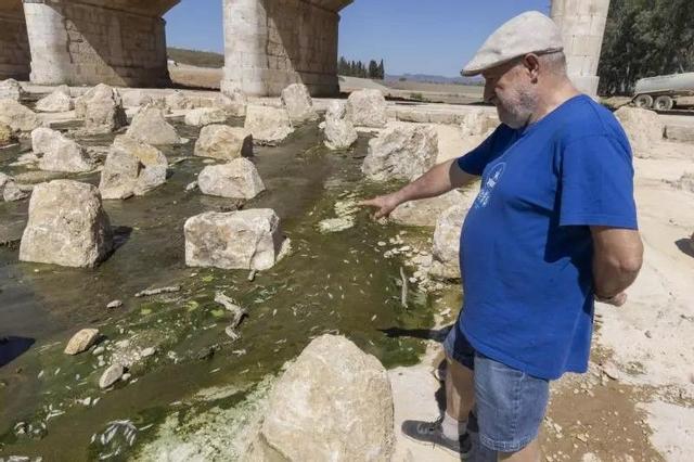 Paco Sanz de Xúquer Viu en un tramo sin apenas agua y ya con peces muertos en l'Alcúdia el pasado mes de junio.