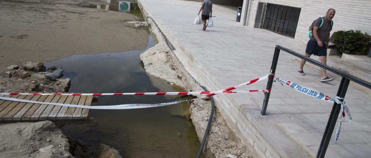 El agua lleva más de un mes, desde la tromba de agosto, estancada en la Albufereta.