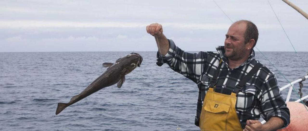 El pescador Ismael Marqués, con una merluza recién pescada «a pincho». | I. P.
