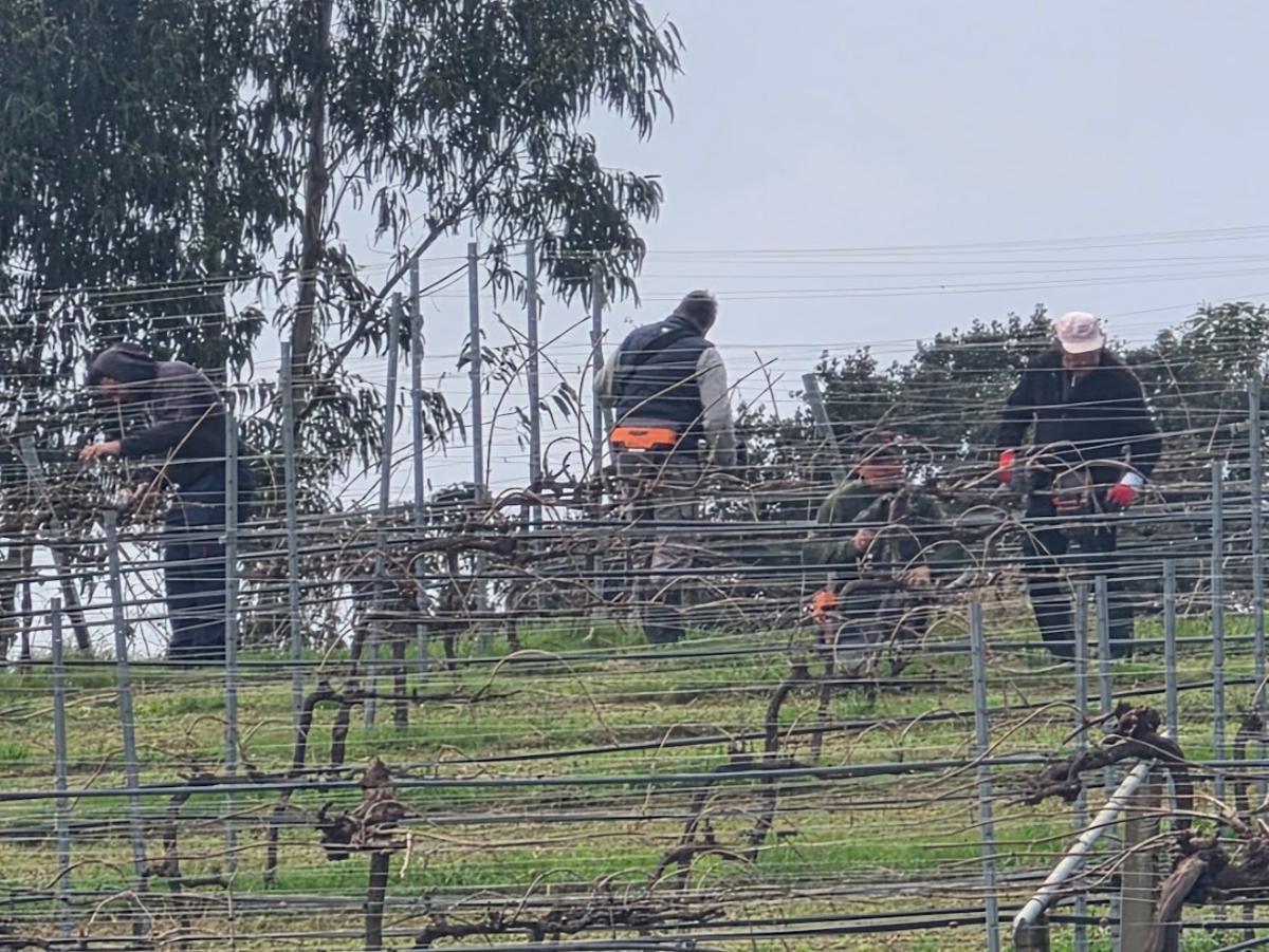 Pazo Rubiáns, en Vilagarcía, sede de la bodega Pazo de Rubianes, desde octubre propiedad de Bodegas Arzuaga.