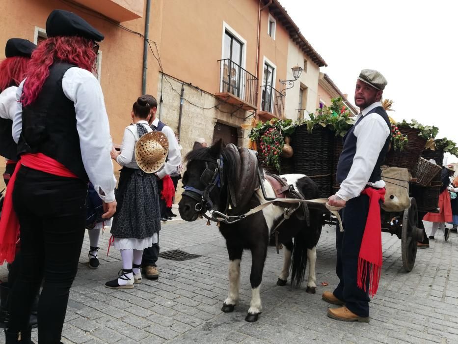 Desfile de carros de la Fiesta de la Vendimia