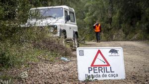 Pesta porcina: contenir-la també depèn de la nostra maduresa col·lectiva